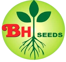 Bajarang Hybrid Seeds